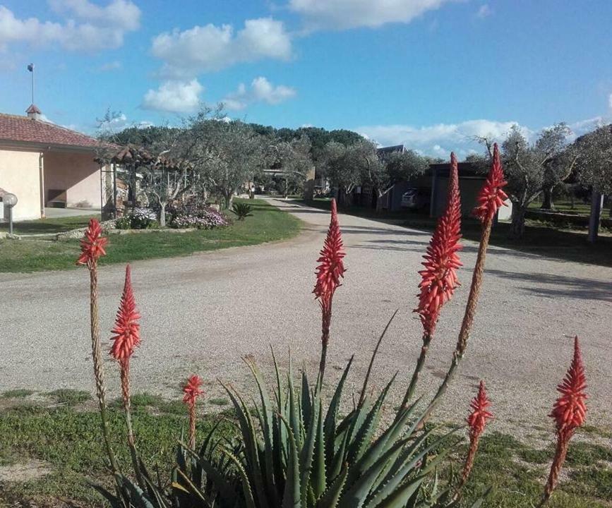 Agriturismo Sa Ruda Càbras Exteriér fotografie