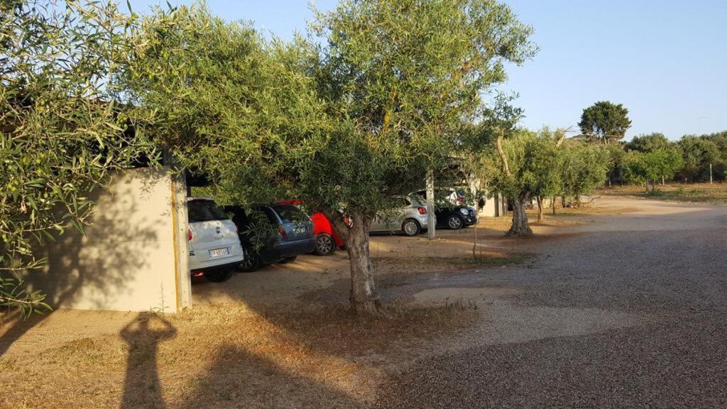 Agriturismo Sa Ruda Càbras Exteriér fotografie